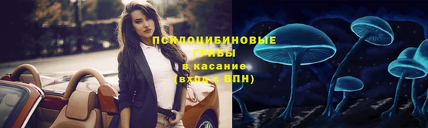 дживик Алексин