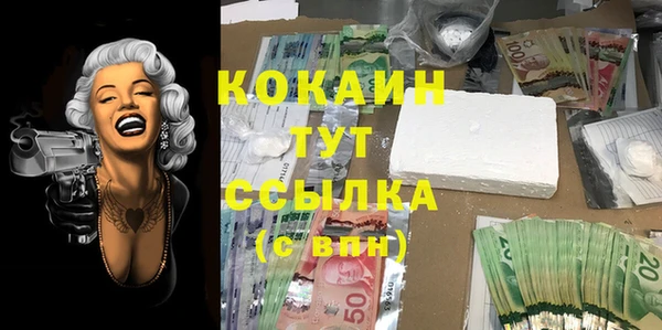 дживик Алексин
